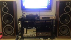 Celestion Ditton 662 / аккорд 201