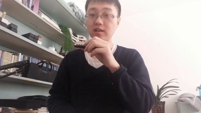 the unique style Easttop blues harp T10-1 смотреть онлайн