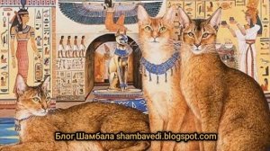 Путешествие египетской кошки  - Валерия Кольцова ,читала Анастасия Алексеева