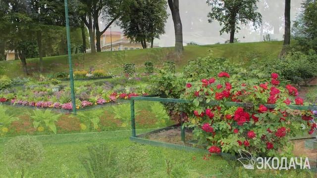 Петровский огород #экодача