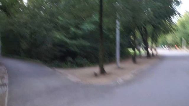 Велоподорож по Європі. Амстердам. Парк Вондела