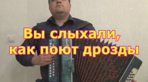 Вы слыхали как поют дрозды разбор на гармони