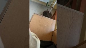 внутреннее основание черепа