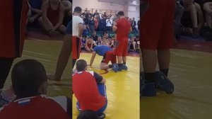 Абдулрашид Садулаев. Накат. Вольная борьба.