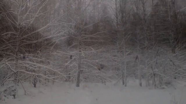 У леса на опушке жила зима в избушке смотреть онлайн