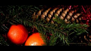 Что делать в Новый Год одному? Как встретить праздник в одиночестве?