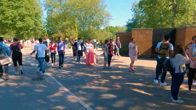 Walking London's HYDE PARK in Summer ? Green Park & Buckingham Palace | 4K | London Walk смотреть онлайн