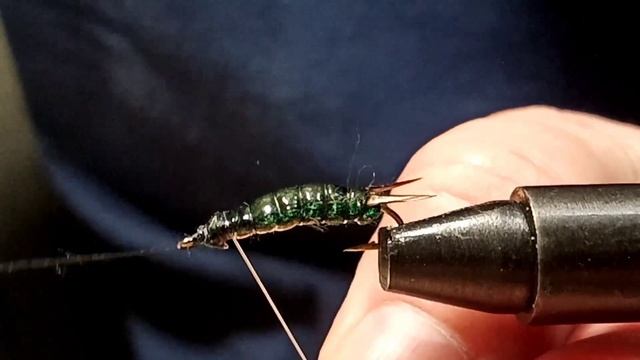 Личинка стрекозы dragonfly larva версия 1