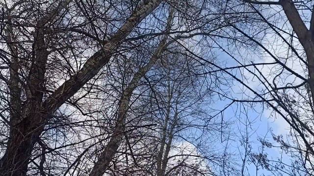6 января праздник Рождественский Сочельник. Что делать нельзя. Народные традиции и приметы