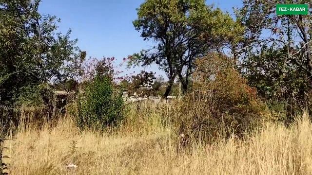 4.5 сотых ЖЕР тилкеси 4500 долларга САТЫЛАТ | Суу, Свет, Маршрут, Мектеп, Мечит, Бакча бар смотреть онлайн