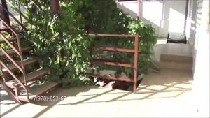 🚢Крым Орджоникидзе на берегу моря эллинг Катран трёхместный.