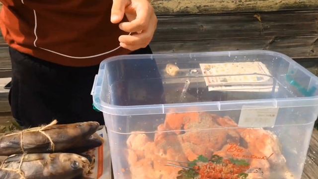 КОПЧЁНАЯ РЫБА И ШАШЛЫК НА ПРИРОДЕ / РЕЦЕПТ ОТ АНДРЕЯ
