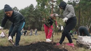 Посадка деревьев АО "АНХК" (Роснефть)