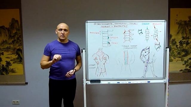 Остеохондроз: правда и вымысел. Теория 6