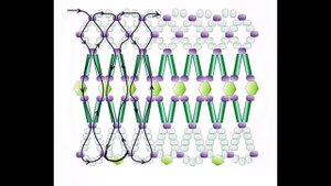 Колье из бисера и стекляруса "Клеопатра"  (Necklace made of beads and glass beads Cleopatra)