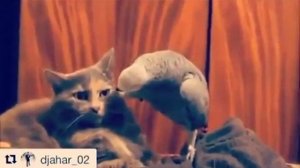 Обои клеить умеешь?
