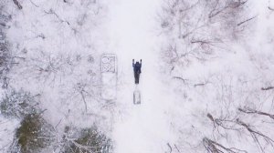 2021 Yamaha Transporter 800