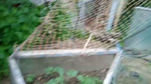 Конструкция под арбузы и сетка для огурцов