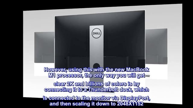 Dell P2421D 24 Inch 1440p QHD, IPS Thin Bezel Monitor, HDMI, DisplayPort, VESA Certified, Black смотреть онлайн