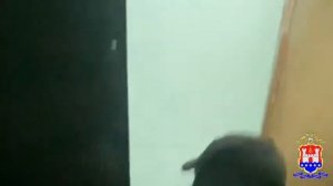 Жёсткое задержание поджигателя в Калининградской области