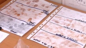 Универсальный нанопорошок