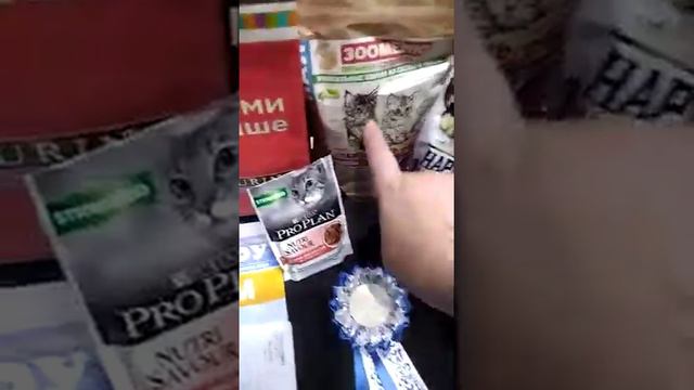 Диплом с выставки, награды, подарки смотреть онлайн