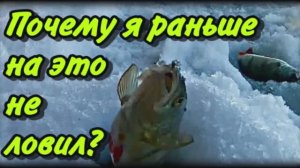 ОТЛИЧНАЯ НАСАДКА НА МОРМЫШКУ. Ловля окуня, голавля, уклейки на мормышку в глухозимье.