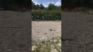 Дульная насадка ДТК закрытого типа www.bramit.ru  на Вепре 366 ТКМ