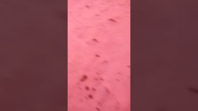 Красное небо