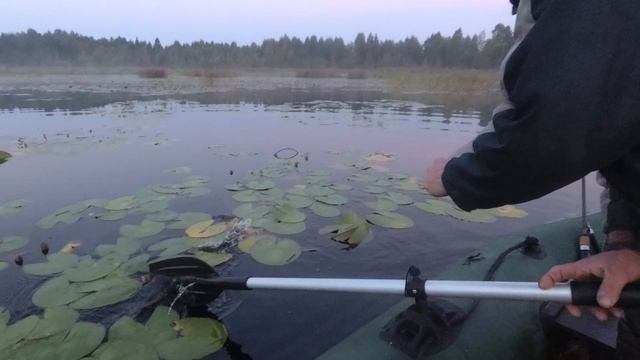 Бутылки на разливах . Ловля щуки. Беларусь.