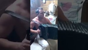 #казачья под гармонь сектор газа. ХОЙ жив в наших сердцах ❤??