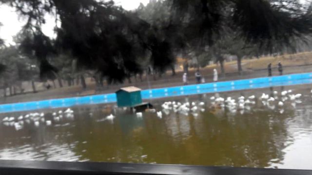 Осень дарит нам хорошее настроение смотреть онлайн