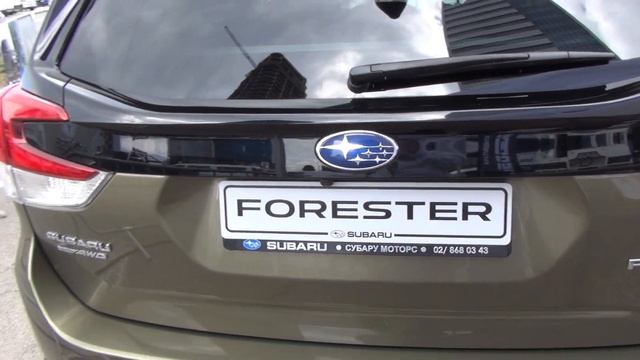 Subaru Forester e-Boxer Car (2023) Exterior and Interior