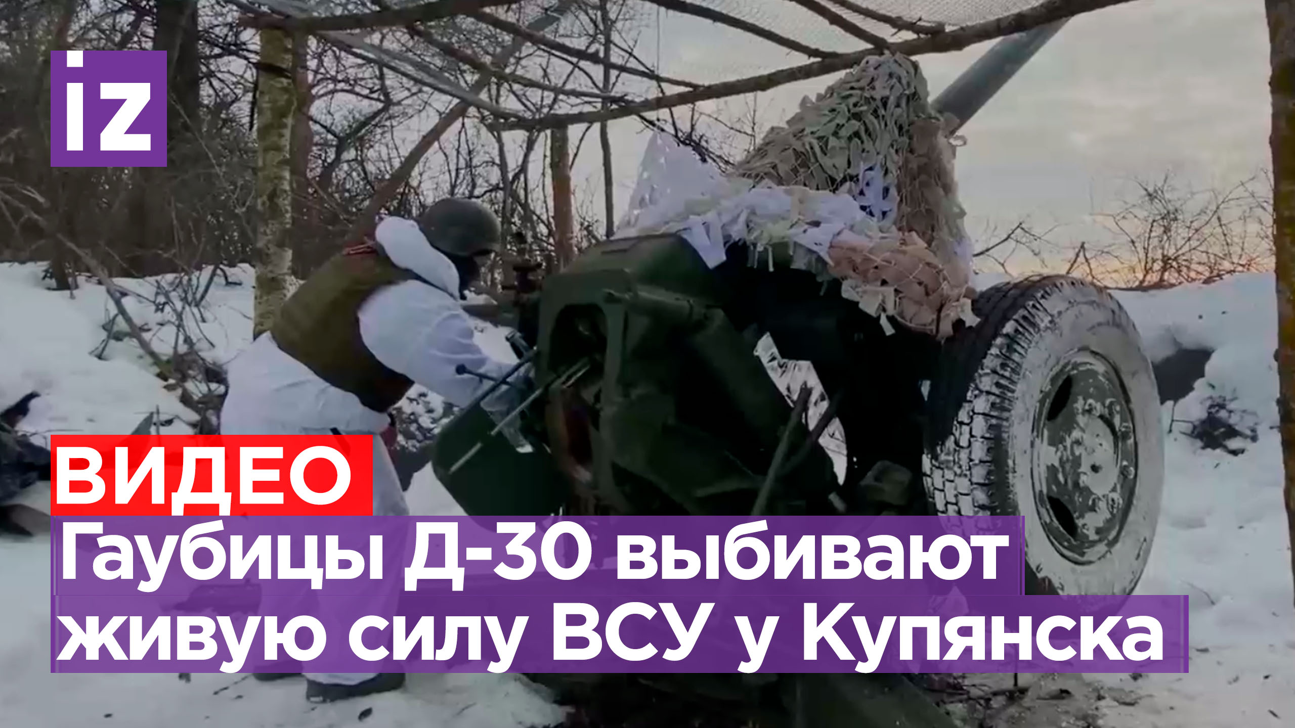 поле после пожара. пермо-триасовое вымирание. истребление живых организмов. вымирание животных и растений. шестое массовое вымирание.