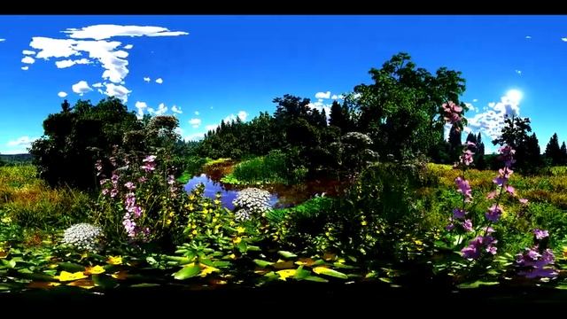 Vue environment