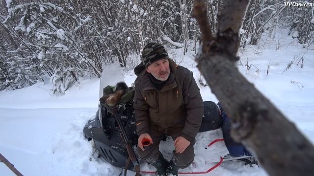 Добыл глухаря, да и путик не пустой. смотреть онлайн