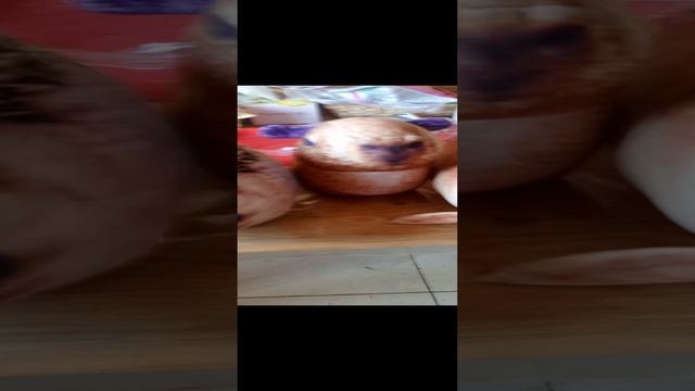 Хренобус шлёпа и капибара поздравляют с 23 февраля