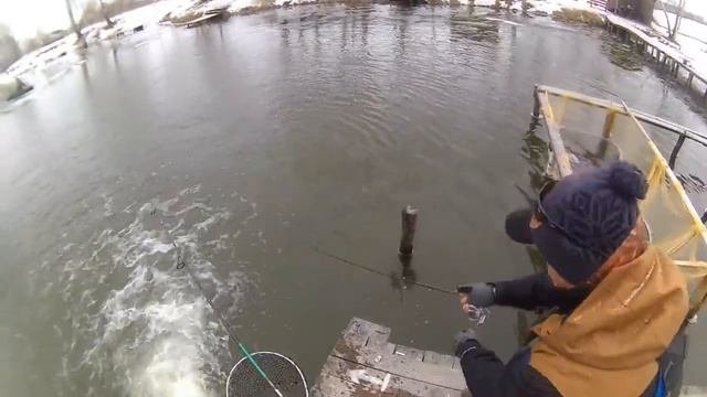 Jig-fishing.ru Ловля форели на спиннинг