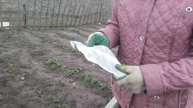 Клубника Весенний уход Подкормка смотреть онлайн