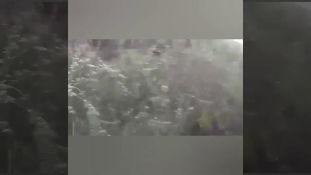 Лось, кабан, заяц... Лучшее сезона 2021-2022. Загонная охота на кабана. Загонная охота на лося. смотреть онлайн