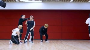 [Stray Kids - Thunderous] dance practice mirrored
