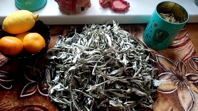 Лох серебристый. Защитник иммунитета.