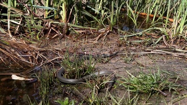 Рыбалка у трубы. Заволжье Чувашии смотреть онлайн