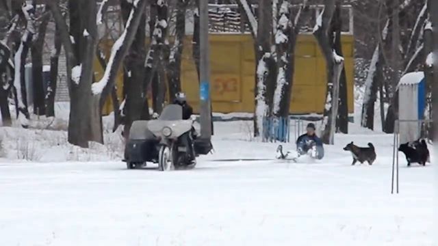 Днепро-санки.avi смотреть онлайн