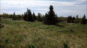 Двухдневный поход на Большой и Малый Иремель