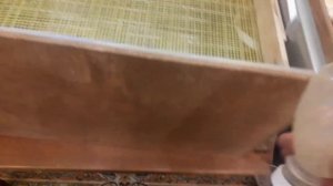 Доработал инкубатор блиц 72ц 10.