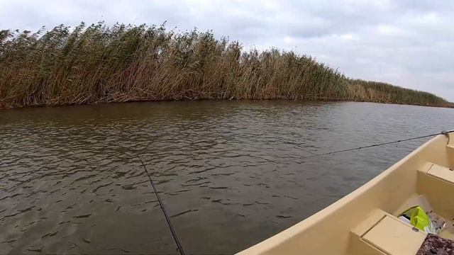 Охота на жереха!!! Уловистый воблер... смотреть онлайн