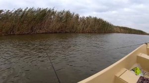 Охота на жереха!!! Уловистый воблер...