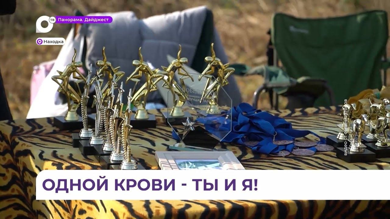 «Мы одной крови-ты и я»: В Находкинском городском округе прошёл кинологический квест
