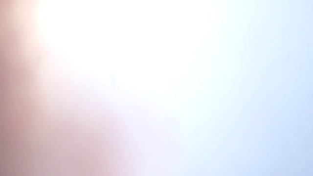 Cobra Vs. TT 300zx crash смотреть онлайн